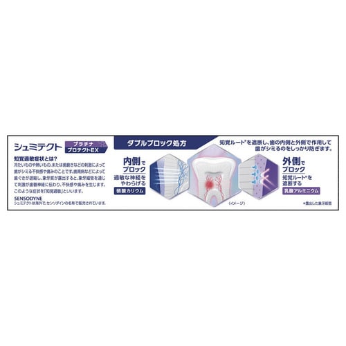 シュミテクトプラチナプロテクトEX 90g クリアミント 7267741