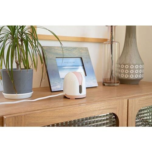 �A�[�X�m�[�}�b�g60���Z�b�g �z���C�g�s���N _2