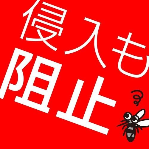 �m�[�}�b�g���C�h60���Z�b�g �z���C�g�u���[ �y�v���U�Z���N�g�z_6