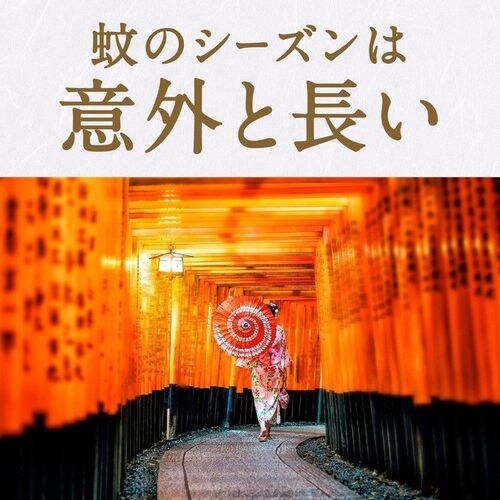 【3個セット】ノーマットリキッド取替えボトル120日用 無香料 2本入_3