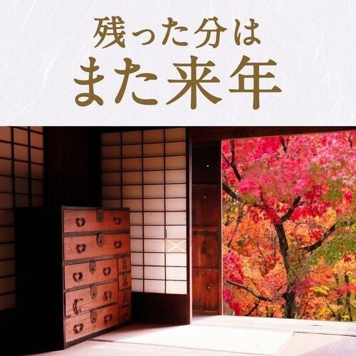 【3個セット】ノーマットリキッド取替えボトル120日用 無香料 2本入_4