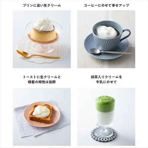 貝印 自動生クリームホイッパー 生クリッチ (namacrich) DK5150 ホワイト_12