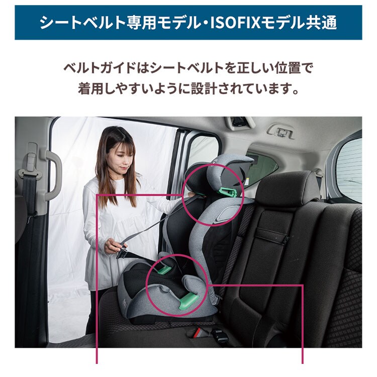 シフトピット シートベルト固定 ブラウン 7268121 │アイリスオーヤマ