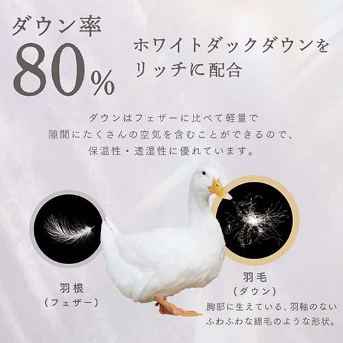 羽毛掛け布団 セミダブル ロング ダウン80％ 高補湿・透湿 アイボリー