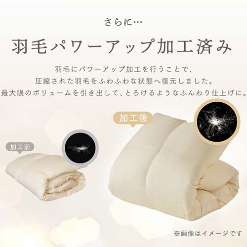 羽毛掛け布団 セミダブル ロング ダウン80％ 高補湿・透湿 アイボリー