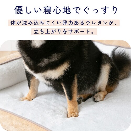 ペットベッド 洗える 犬 カバーが取り外しできるペットベッド M