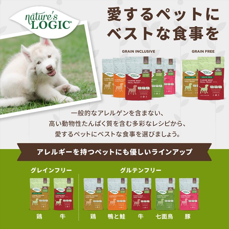 訳あり】【最短賞味期限：2026年7月29日】ネイチャーズロジック ドッグ