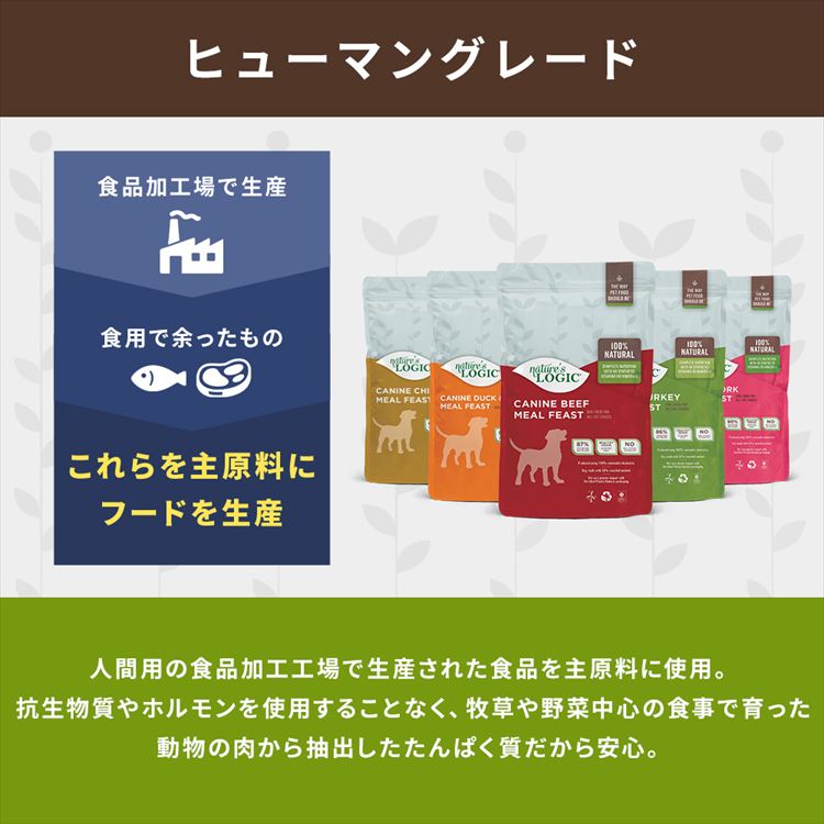 訳あり】【最短賞味期限：2026年7月29日】ネイチャーズロジック ドッグ