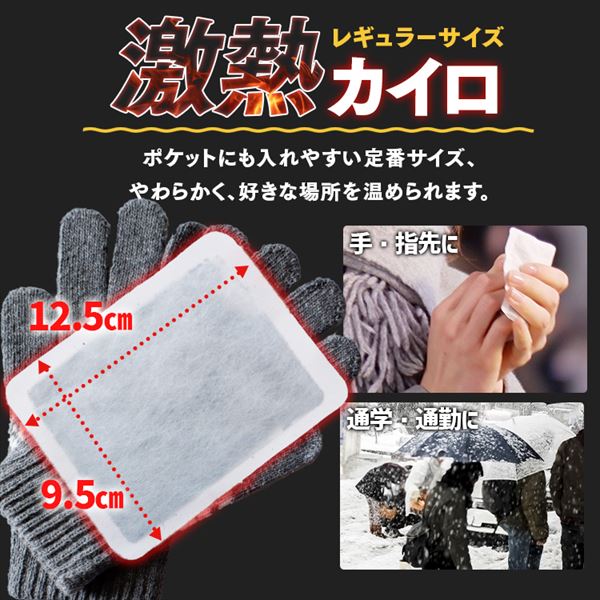 30枚】 カイロ 貼れない 激熱家族 レギュラーサイズ 7268949