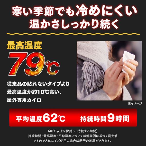 30枚】 カイロ 貼れない 激熱家族 レギュラーサイズ 7268949