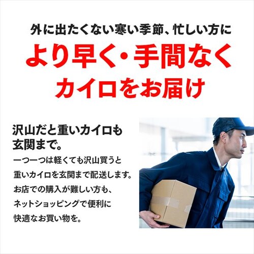 �y30���z �J�C�� �\��Ȃ� ���M�Ƒ��@���M�����[�T�C�Y_6