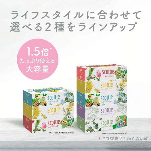 54箱】スコッティ ティッシュペーパー フラワーボックス 500枚（250組