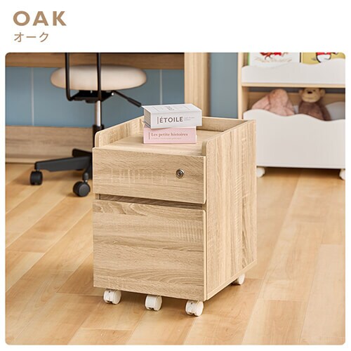 �L���r�l�b�g ��i�����o�� �L���X�^�[�t�� FJ-029-IR �ؖڃz���C�g_3