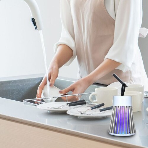 �d�C�̃R�o�G��� TKY-82 _2