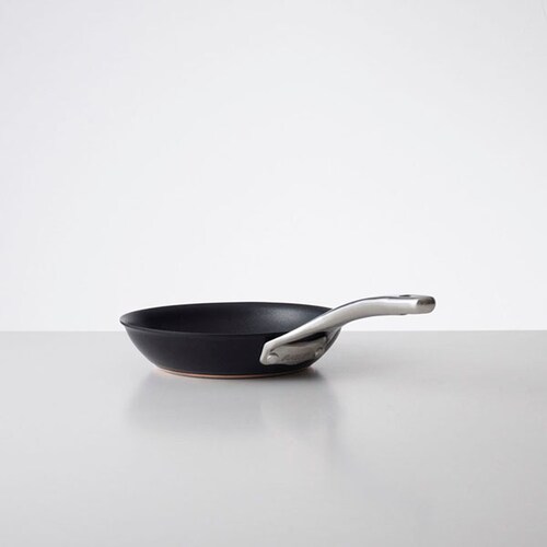 �A�i���� ���N�X �t���C�p�� 20cm AC3-P20 _4