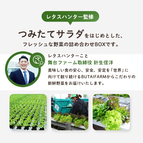 お任せ野菜ボックス 野菜11点セット【時間指定不可】【プラザセレクト