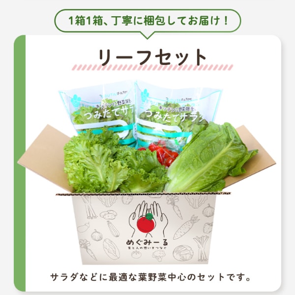 お任せ野菜ボックス 野菜11点セット【時間指定不可】【プラザセレクト