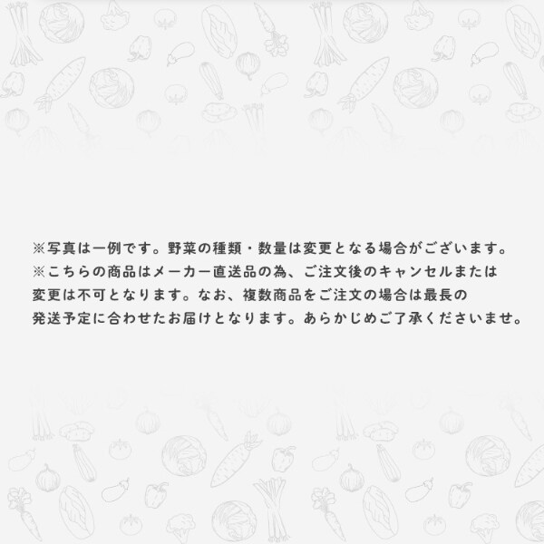 お任せ野菜ボックス 野菜11点セット【時間指定不可】 7269649