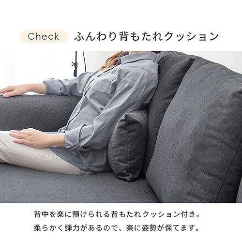 �\�t�@ 2�l�|�� �u���C�g �_�[�N�O���[�y���Ԏw��s�z   �y�v���U�Z���N�g�z�y������s�z_11