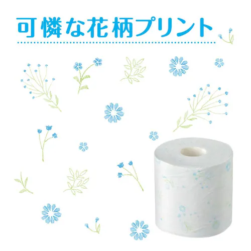 �y4���[���z�g�C���b�g�y�[�p�[ �_�u�� �����b�N�X�u���[ �V�X�e�B �N���l�b�N�X_6