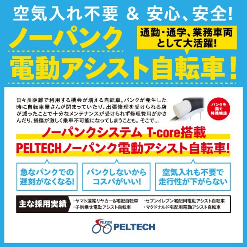 PELTECH �m�[�p���N �d���A�V�X�g���]�� 20�^�A���~�܂��݃t������ 8Ah�y�ȈՑg���K�v�i�z TDN-212LN �}�b�g�x�[�W���y���Ԏw��s�z�y�v���U�Z���N�g�z�y������s�z_2