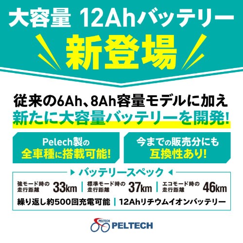 PELTECH �m�[�p���N �d���A�V�X�g���]�� 20�^�A���~�܂��݃t������ 8Ah�y�ȈՑg���K�v�i�z TDN-212LN �}�b�g�x�[�W���y���Ԏw��s�z�y�v���U�Z���N�g�z�y������s�z_4