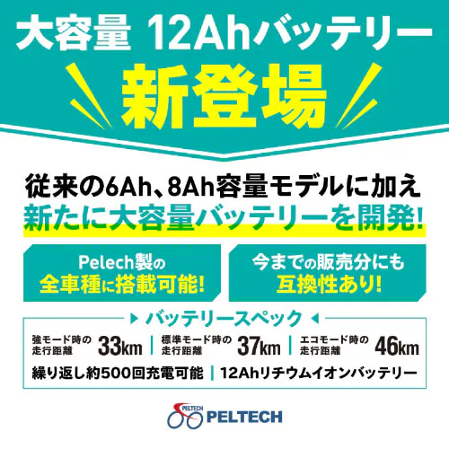 PELTECH �d���A�V�X�g���]�� 20�^�A���~�܂��݃t������ ��e�ʃo�b�e���[���� 12Ah�y�ȈՑg���K�v�i�z TDN-212L �}�b�g�x�[�W���y���Ԏw��s�z�y�v���U�Z���N�g�z�y������s�z_4