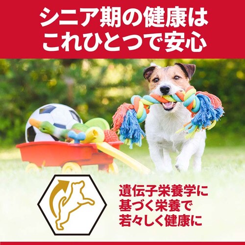 ヒルズ 【2個セット】サイエンス・ダイエット〈プロ〉小型犬用 シニアトータルケア機能 超小粒 7歳以上 3kg _4