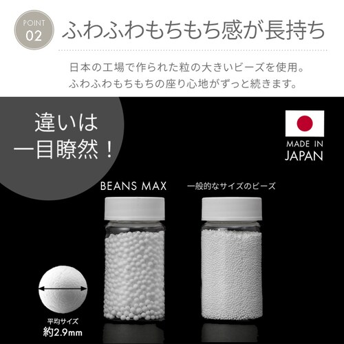 �����b�N�X�r�[�Y�N�b�V���� Phiten�~�r�[���YMAX �u���[_7