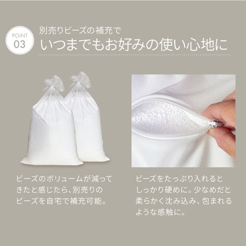 �����b�N�X�r�[�Y�N�b�V���� Phiten�~�r�[���YMAX �u���[_8