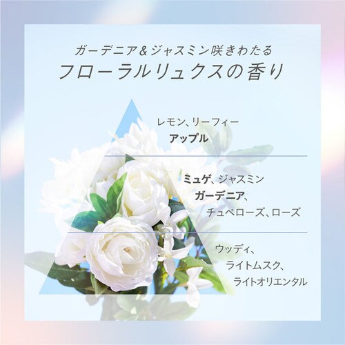 Essential �G�b�Z���V���� �v���~�A�� ���邨���o���A �l�� �R���f�B�V���i�[ �O���E�����C�X�g_10