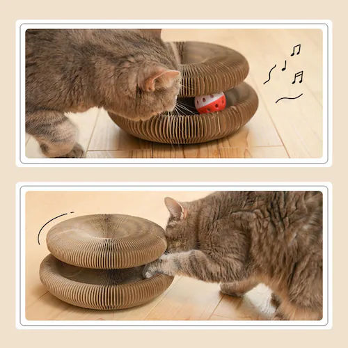 ドーナツ型爪とぎ_3