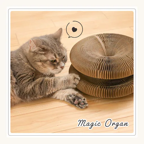 ドーナツ型爪とぎ_4