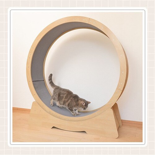 �L���b�g�����i�[ �L �V�я�  �L �^�� �q�˂� �L���b�g�E�H�[�N _10