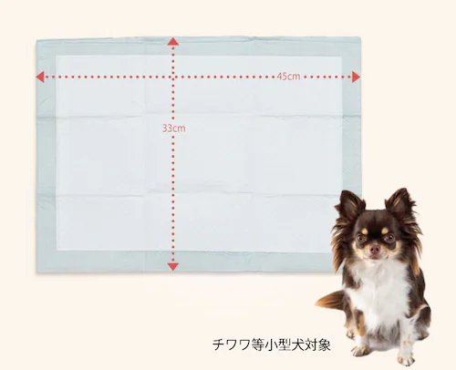 ��e�� ���^ �y�b�g�V�[�c ���M�����[ 1200�� ���g�C�� �V�[�c_4