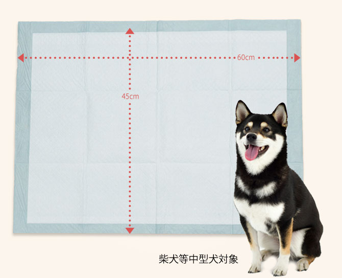 大容量 超薄型 ペットシーツ レギュラー 1200枚 犬トイレ シーツ