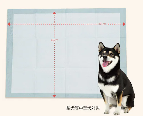 ��e�� ���^ �y�b�g�V�[�c ���M�����[ 1200�� ���g�C�� �V�[�c_9