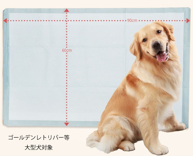 大容量 超薄型 ペットシーツ レギュラー 1200枚 犬トイレ シーツ