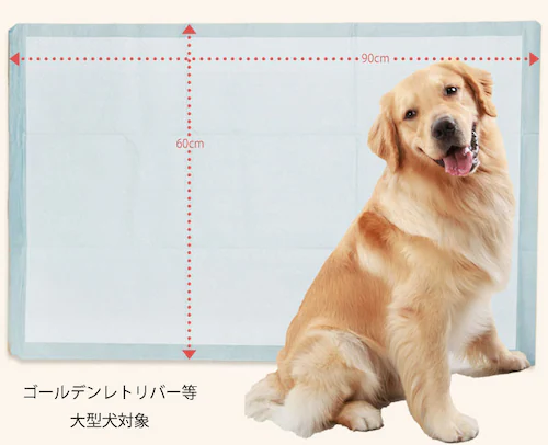 ��e�� ���^ �y�b�g�V�[�c ���M�����[ 1200�� ���g�C�� �V�[�c_14