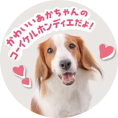 �s�b�R���[�l �g�C�v�[�h���y�v���U�Z���N�g�z_4