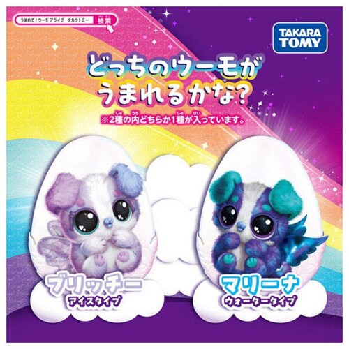 ���܂�āI�E�[�� �A���C�u �p�t�B�R�[��_12