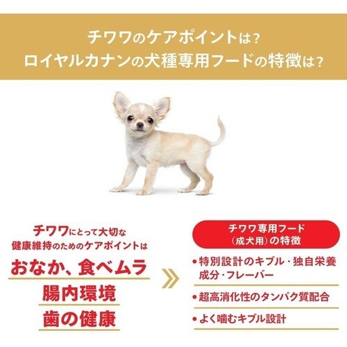 ロイヤルカナン 成犬 トライアルパック 50g×6 チワワ0rcdb09_2