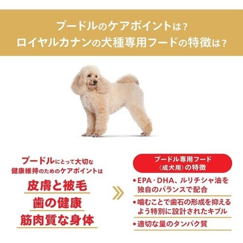 ロイヤルカナン 成犬 トライアルパック 50g×6 チワワ0rcdb09_3