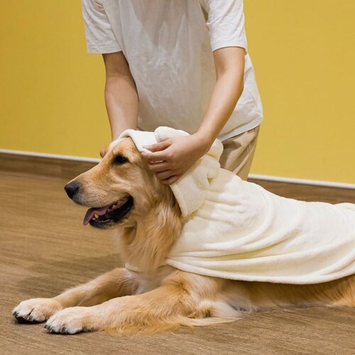 �J�����y�b�g���[�u �A�j�}�� �C�k �����^�`���^���E�L�p_3