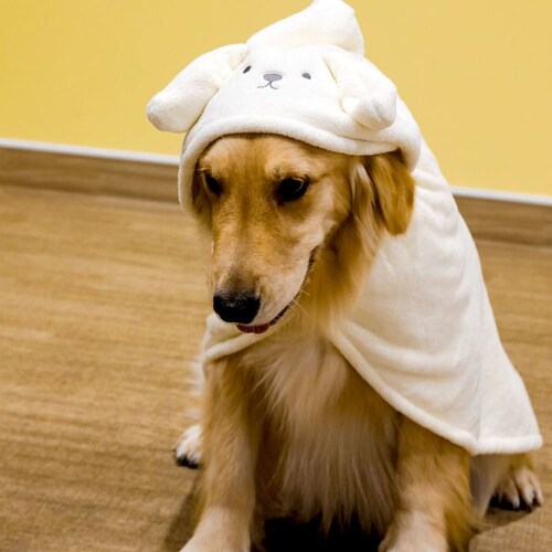 �J�����y�b�g���[�u �A�j�}�� �C�k �����^�`���^���E�L�p_6