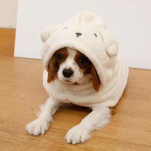 �J�����y�b�g���[�u �A�j�}�� �C�k �����^�`���^���E�L�p_10