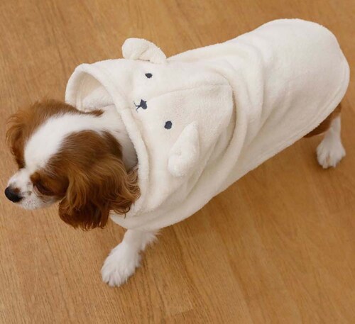 �J�����y�b�g���[�u �A�j�}�� �C�k �����^�`���^���E�L�p_13