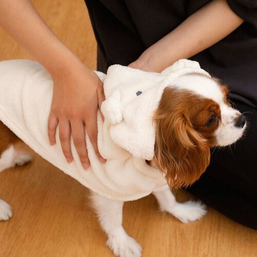 �J�����y�b�g���[�u �A�j�}�� �C�k �����^�`���^���E�L�p_14