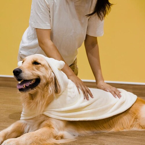 �J�����y�b�g���[�u �A�j�}�� �C�k �����^�`���^���E�L�p_17