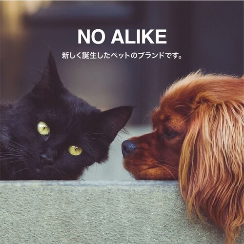 NO ALIKE �R�ۃy�b�g���[�uM �z���C�g_2